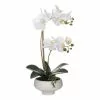 Rogue Butterfly Orchid In Stone Bowl 46 Cm White -Bed Linen store BP645017 nc