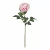 Rogue Peony Stem Pink