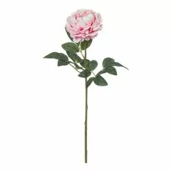 Rogue Peony Stem Pink