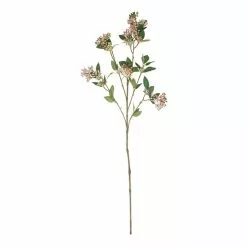 Rogue Seeding Spray Stem Pink