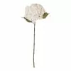 Rogue Hydrangea Stem Dusty Ivory 26 X 23 X 66cm -Bed Linen store SP 632467
