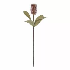 Rogue Banksia Stem Mauve 74cm