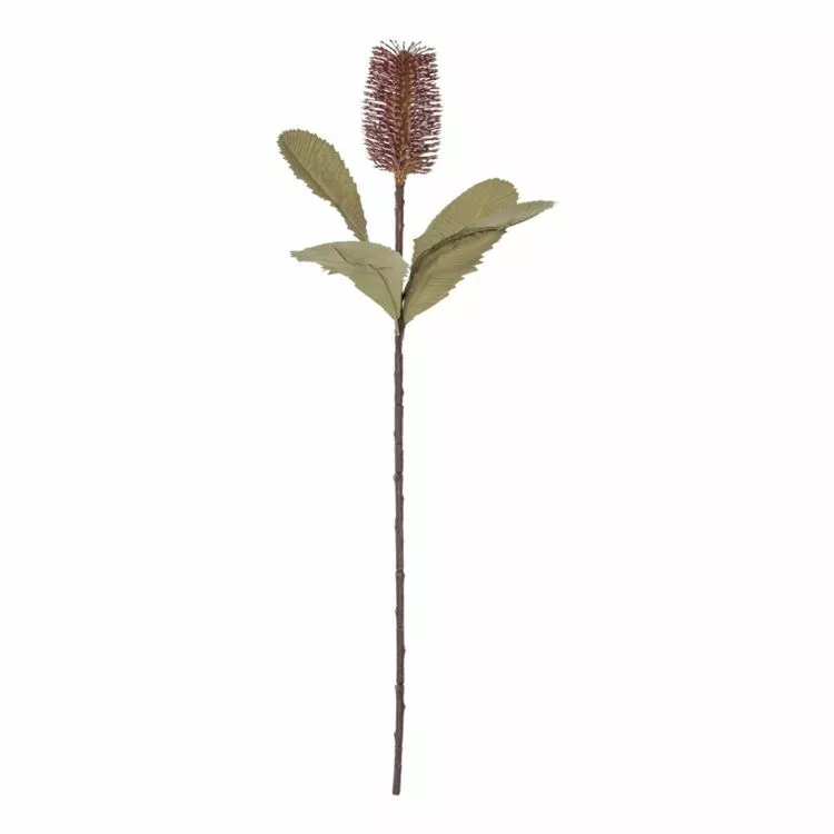 Rogue Banksia Stem Mauve 74cm 3 Rogue Banksia Stem Mauve 74cm