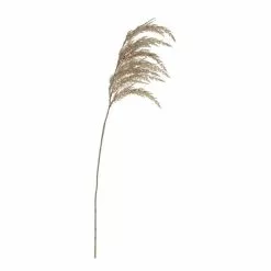 Rogue Pampas Grass Spray Beige 15 X 9 X 92 Cm