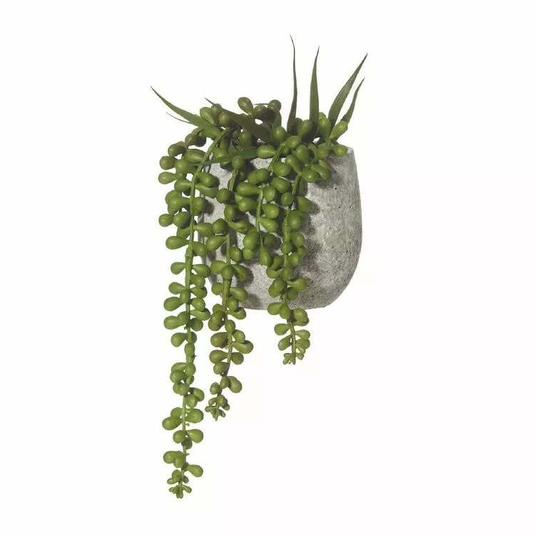 Rogue Hanging Pearls Tub Pot 3 Rogue Hanging Pearls Tub Pot