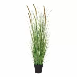 Rogue Pond Grass-Garden Pot Green 99 Cm