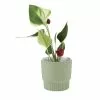 Linen House 10cm Planter Pot Rivera Mint