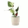 Linen House 10cm Planter Pot Rivera Taupe