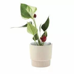 Linen House 10cm Planter Pot Rivera Taupe