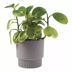 Linen House 13cm Planter Pot Rivera Violet