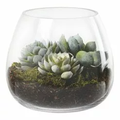Rogue Lotus Echeveria Garden Vase 20 X 20 X 18 Cm