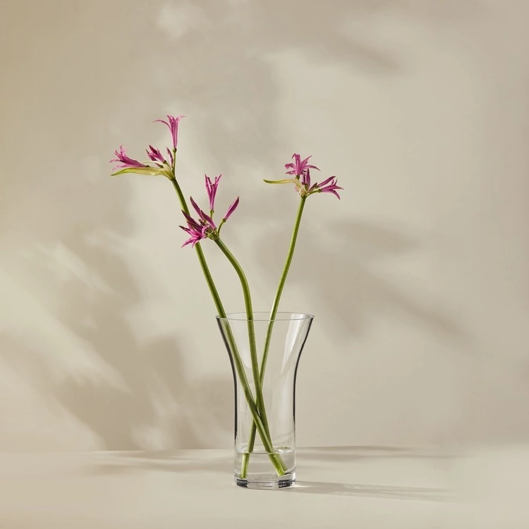 Casa Domani Moda Flared Vase 25cm Gift Boxed 3 Casa Domani Moda Flared Vase 25cm Gift Boxed