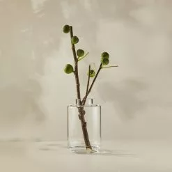 Casa Domani Moda Cylinder Collar Vase 30cm Gift Boxed